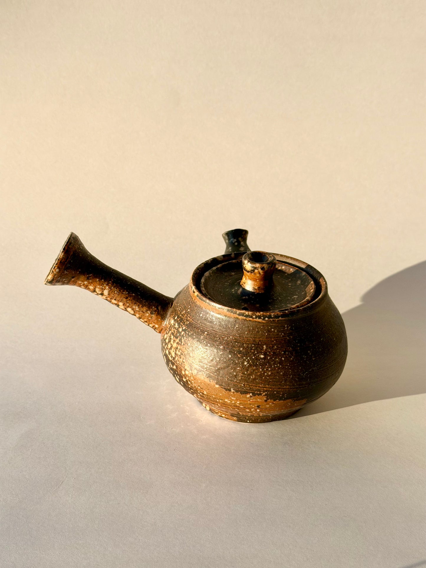 Wood fired teapot
